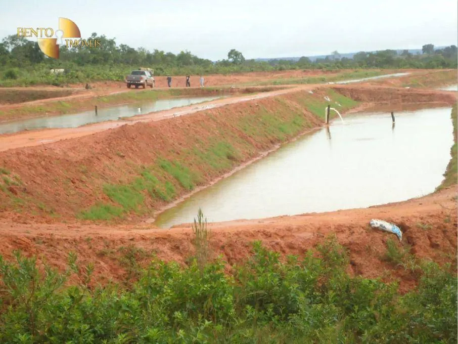 Farm for sale of 2,545 acres in Primavera do Leste, MT, Brazil