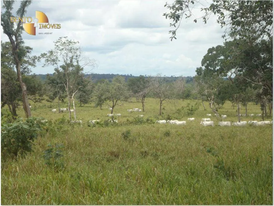Farm for sale of 2,545 acres in Primavera do Leste, MT, Brazil