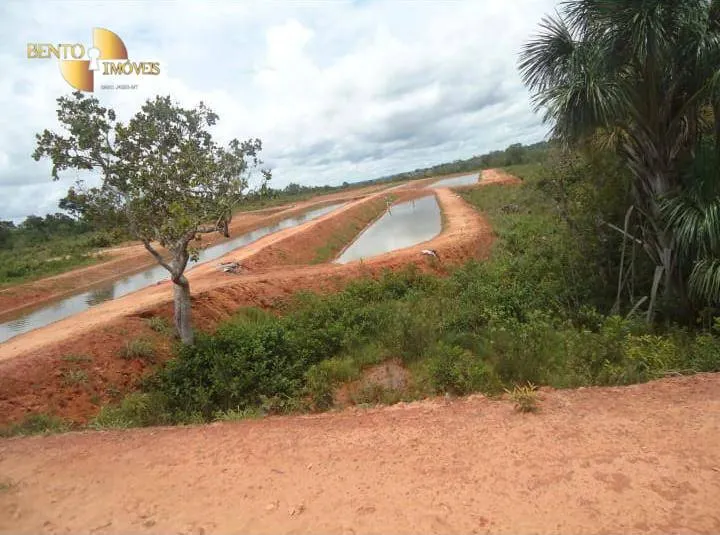 Farm for sale of 2,545 acres in Primavera do Leste, MT, Brazil