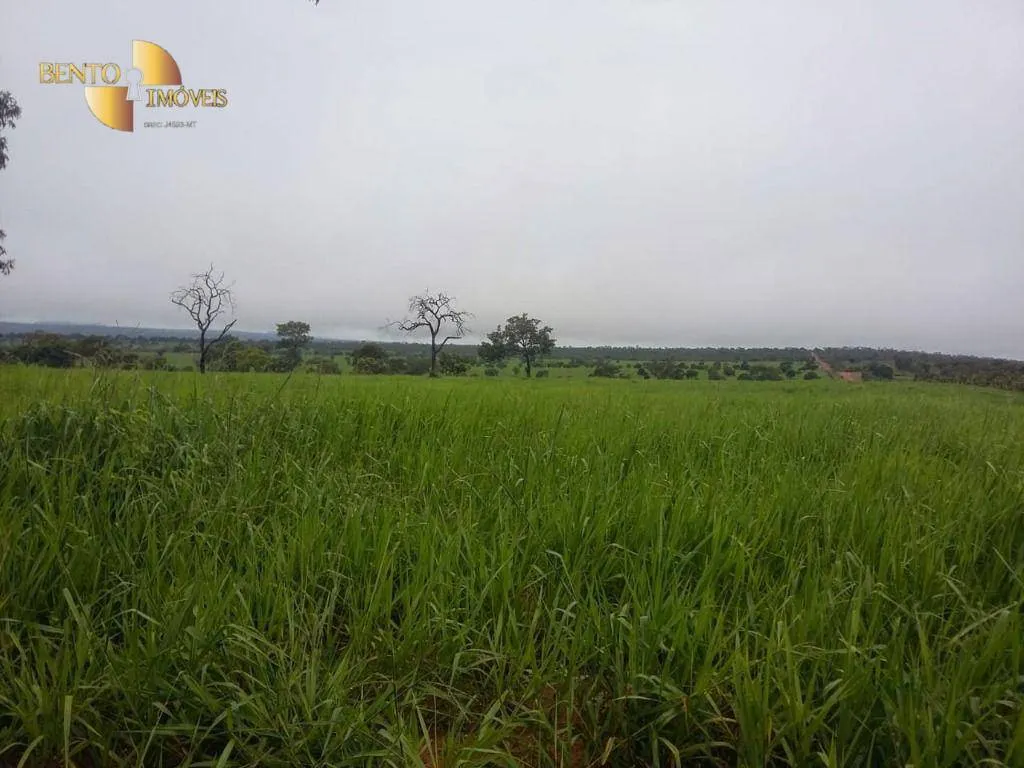Farm for sale of 2,545 acres in Primavera do Leste, MT, Brazil