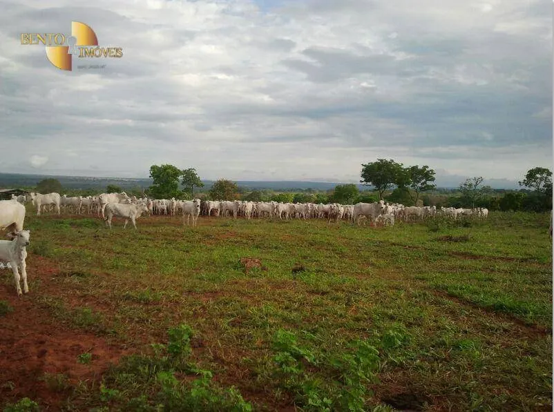 Farm for sale of 2,545 acres in Primavera do Leste, MT, Brazil