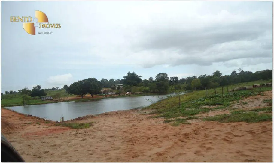 Farm for sale of 2,545 acres in Primavera do Leste, MT, Brazil