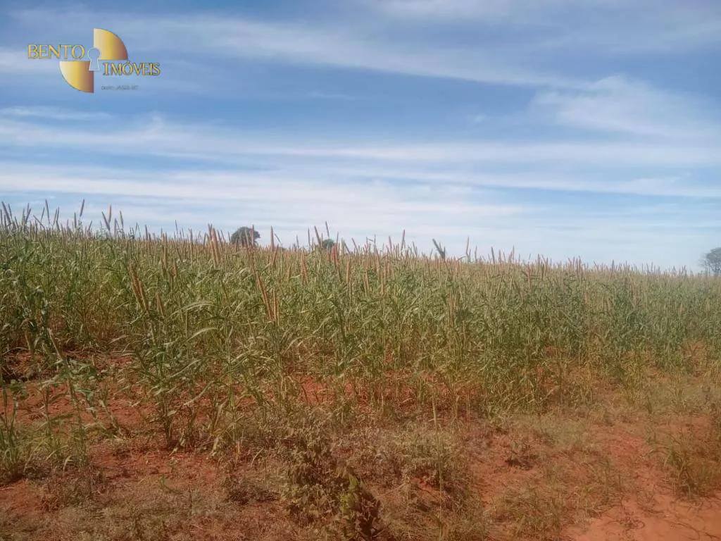 Fazenda à venda e para Arrendar de 3.330 ha em Paranatinga, MT, Brasil