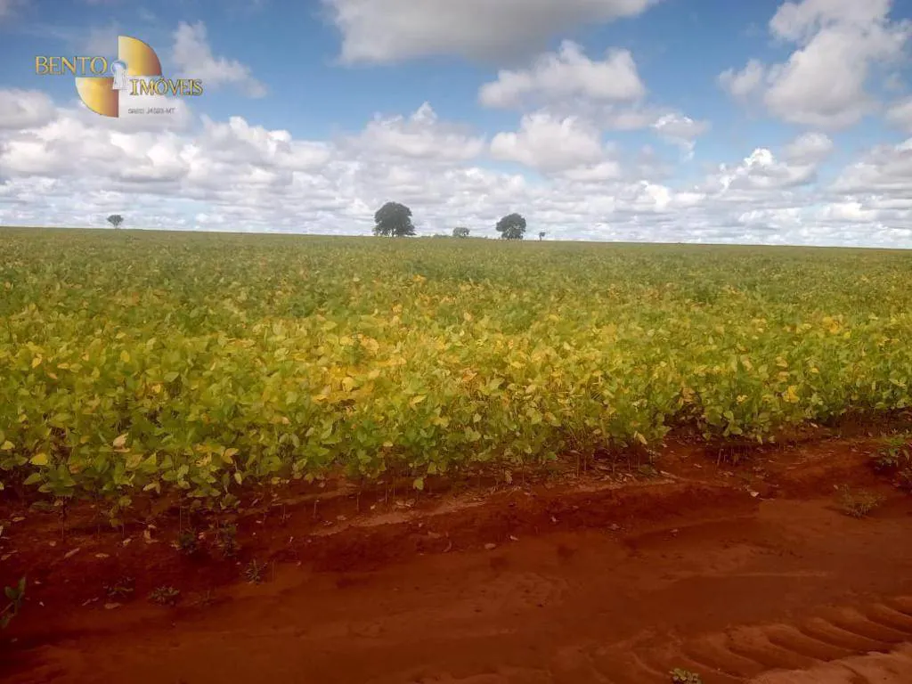 Fazenda à venda e para Arrendar de 3.330 ha em Paranatinga, MT, Brasil