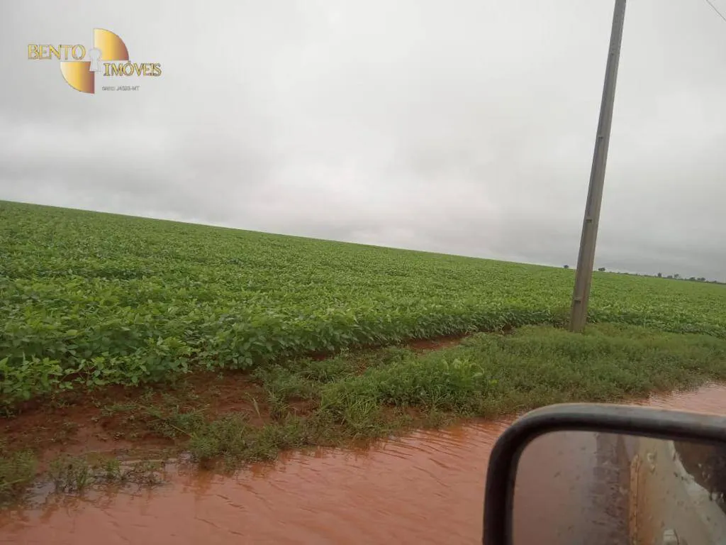 Fazenda à venda e para Arrendar de 3.330 ha em Paranatinga, MT, Brasil
