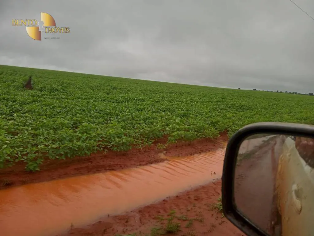 Fazenda à venda e para Arrendar de 3.330 ha em Paranatinga, MT, Brasil