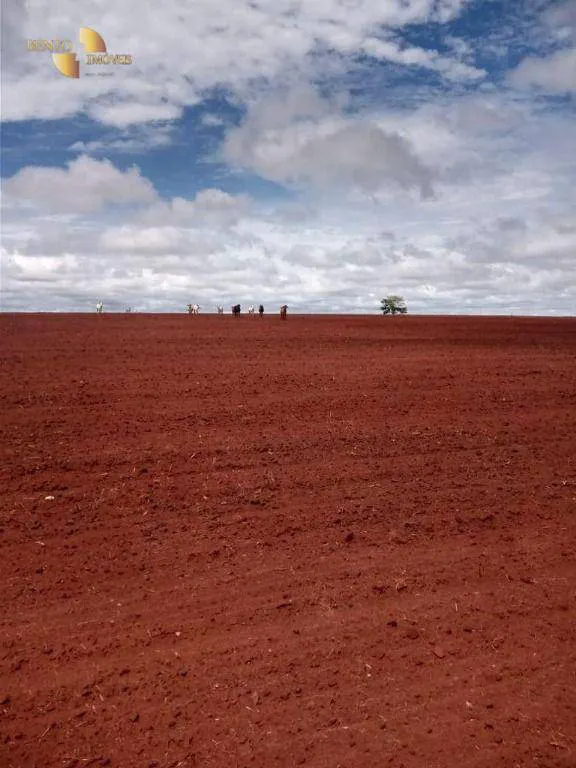 Fazenda à venda e para Arrendar de 3.330 ha em Paranatinga, MT, Brasil