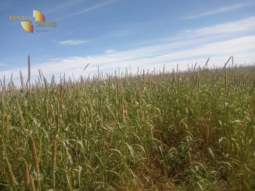 Fazenda à venda e para Arrendar de 3.330 ha em Paranatinga, MT, Brasil
