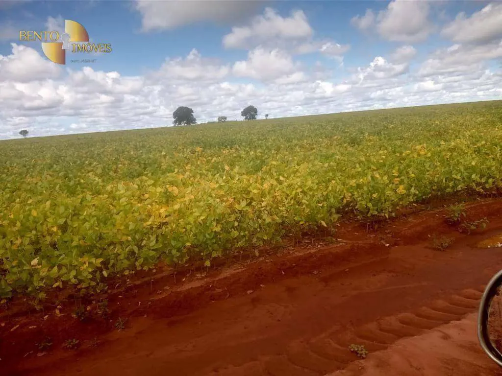 Fazenda à venda e para Arrendar de 3.330 ha em Paranatinga, MT, Brasil