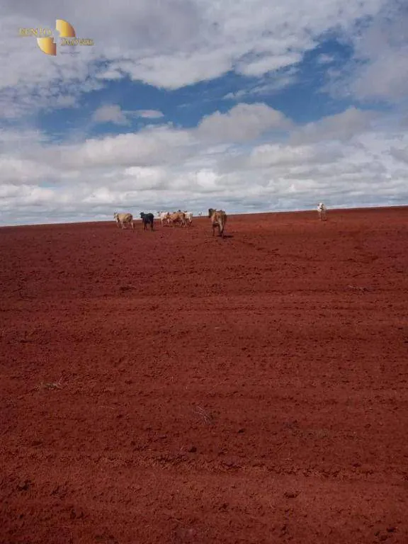 Fazenda à venda e para Arrendar de 3.330 ha em Paranatinga, MT, Brasil