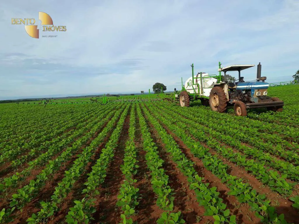 Fazenda à venda e para Arrendar de 3.330 ha em Paranatinga, MT, Brasil