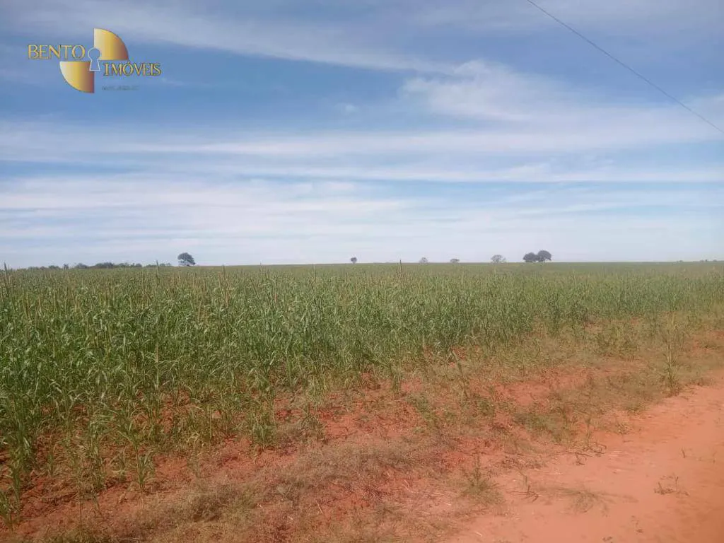 Fazenda à venda e para Arrendar de 3.330 ha em Paranatinga, MT, Brasil