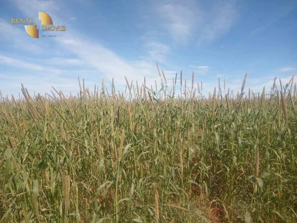Fazenda à venda e para Arrendar de 3.330 ha em Paranatinga, MT, Brasil