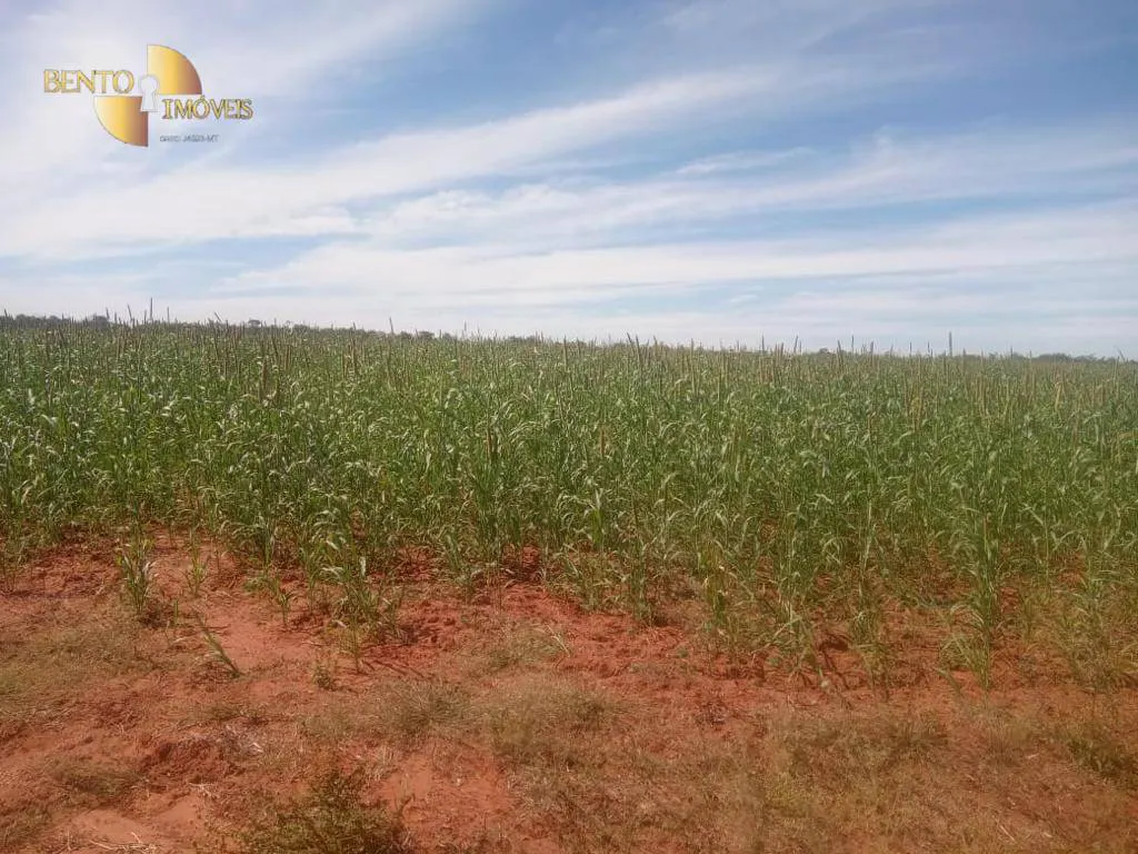 Fazenda à venda e para Arrendar de 3.330 ha em Paranatinga, MT, Brasil