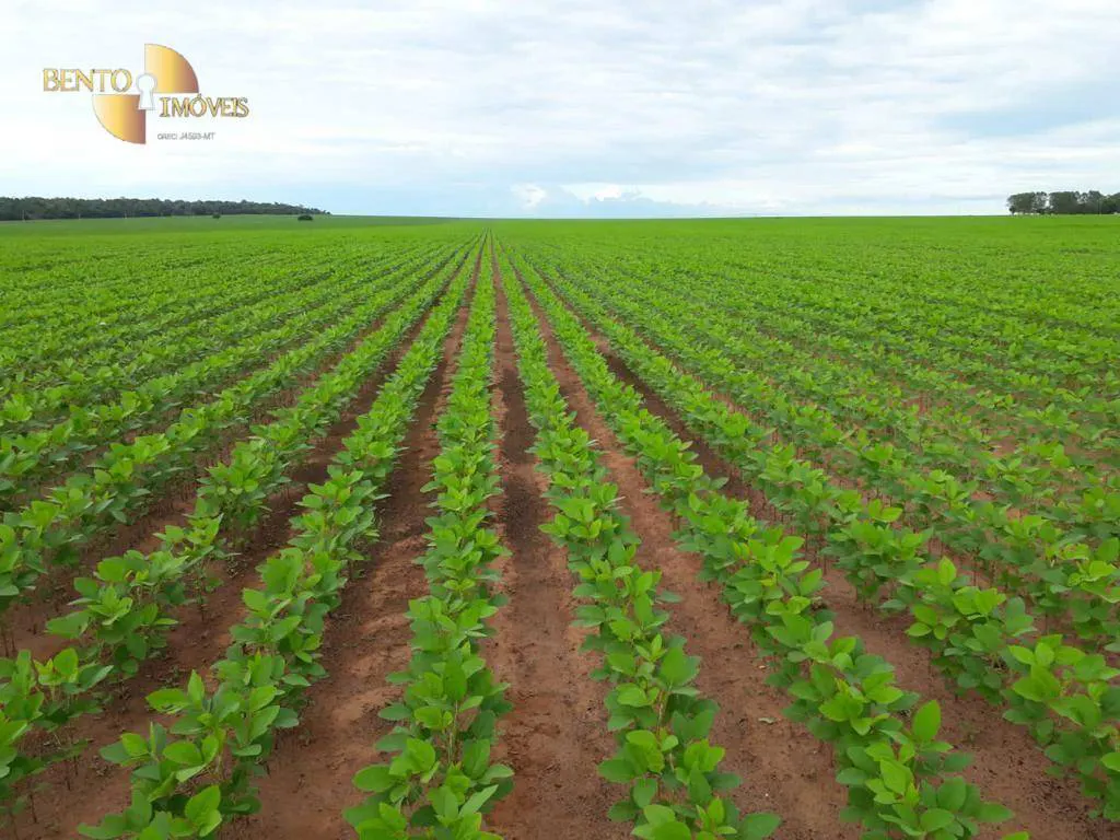 Fazenda à venda e para Arrendar de 3.330 ha em Paranatinga, MT, Brasil
