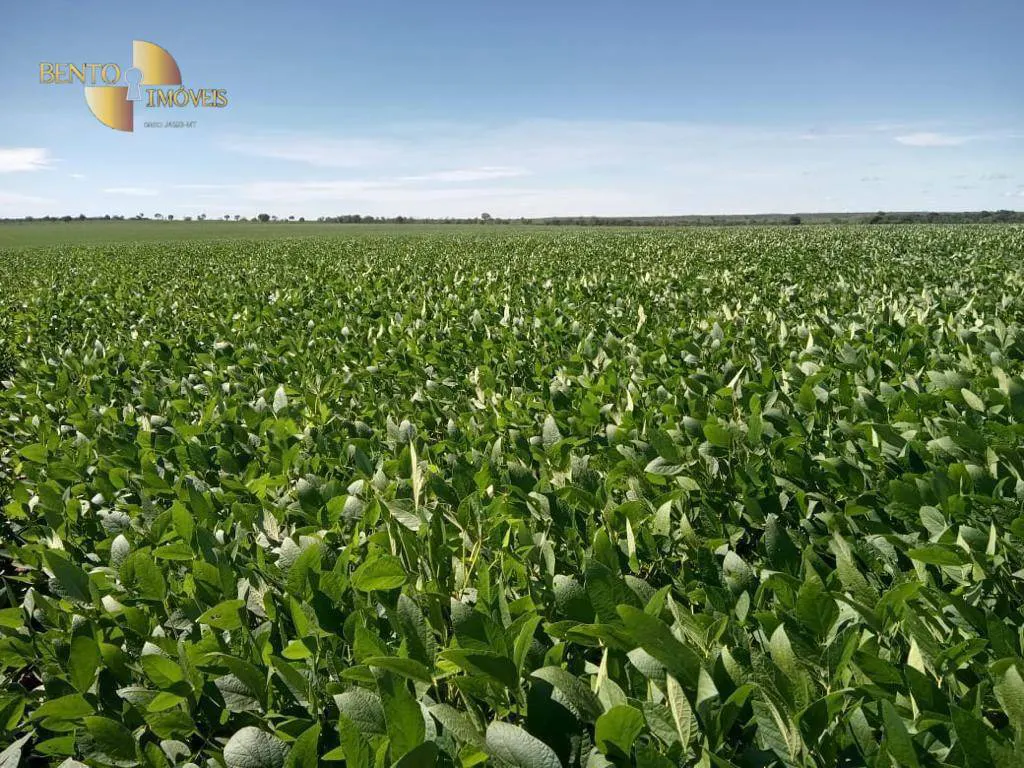 Fazenda à venda e para Arrendar de 3.330 ha em Paranatinga, MT, Brasil