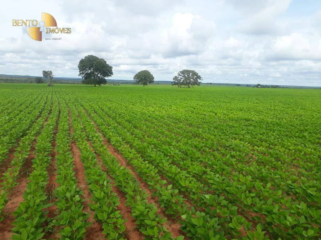 Fazenda à venda e para Arrendar de 3.330 ha em Paranatinga, MT, Brasil