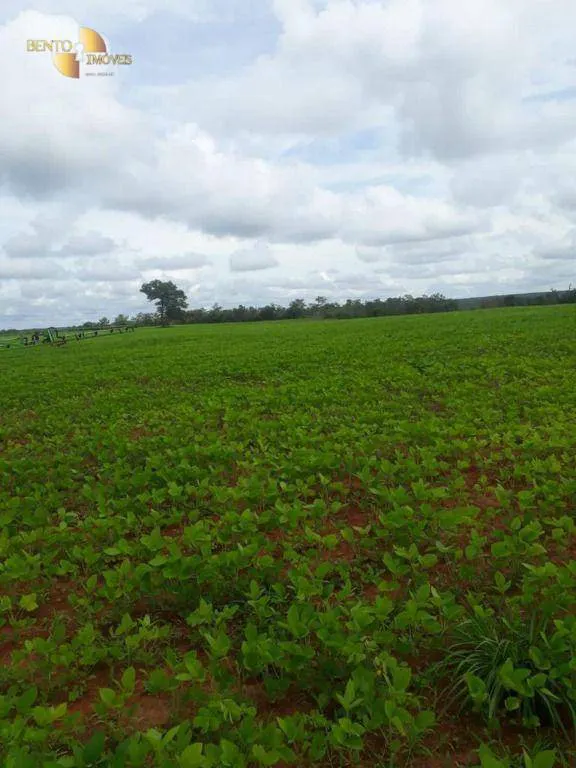 Fazenda à venda e para Arrendar de 3.330 ha em Paranatinga, MT, Brasil