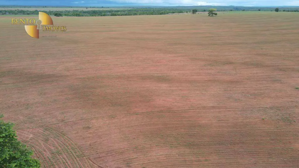 Fazenda à venda e para Arrendar de 3.330 ha em Paranatinga, MT, Brasil