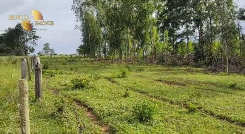 Fazenda à venda de 800 ha em Guiratinga, MT, Brasil