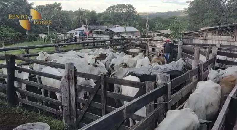 Fazenda à venda de 800 ha em Guiratinga, MT, Brasil