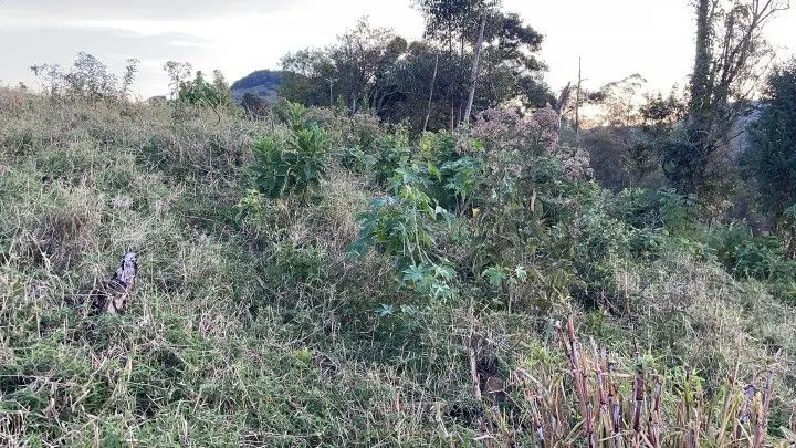 Country home for sale of 2,400 m² in Rolante, RS, Brazil