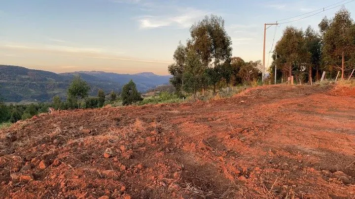Country home for sale of 2,400 m² in Rolante, RS, Brazil