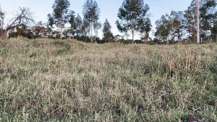 Country home for sale of 2,400 m² in Rolante, RS, Brazil