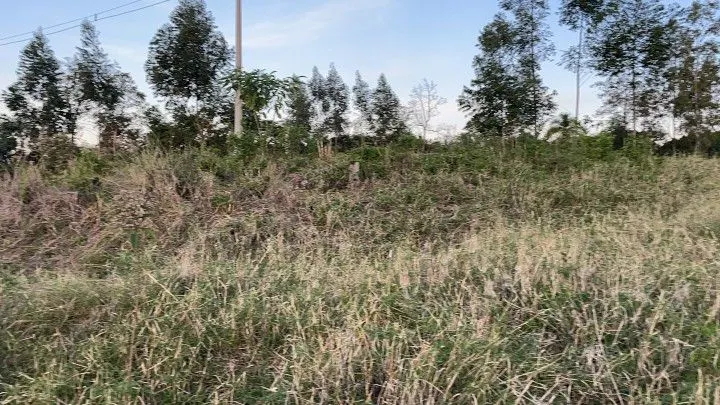 Country home for sale of 2,400 m² in Rolante, RS, Brazil
