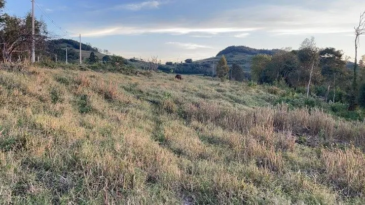 Country home for sale of 2,400 m² in Rolante, RS, Brazil