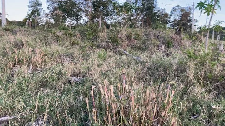 Country home for sale of 2,400 m² in Rolante, RS, Brazil