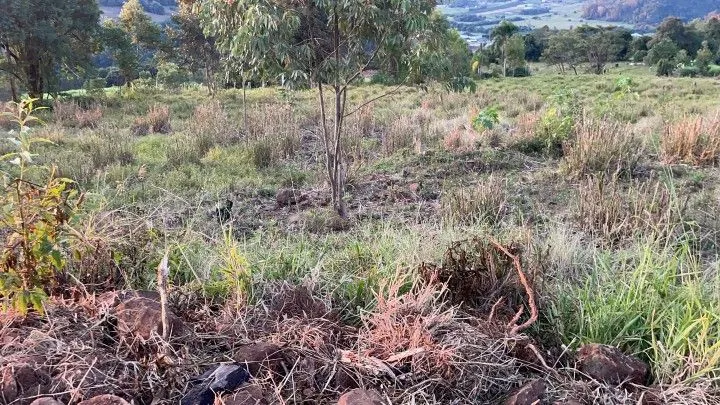 Country home for sale of 2,400 m² in Rolante, RS, Brazil