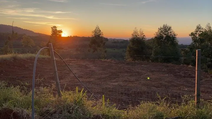 Chácara à venda de 2.400 m² em Rolante, RS, Brasil