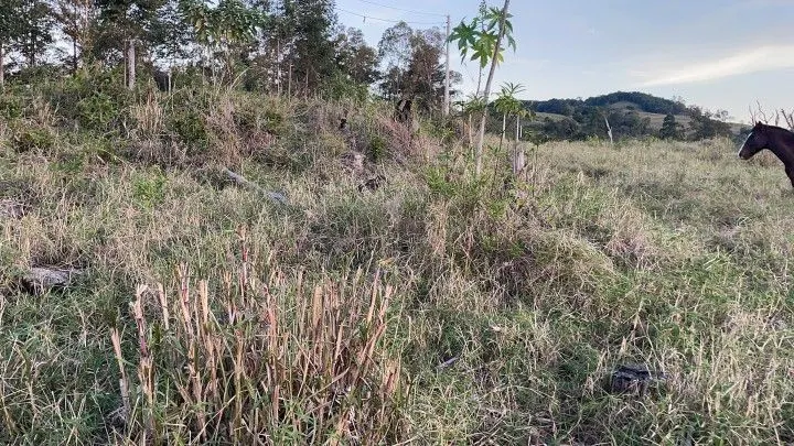 Country home for sale of 2,400 m² in Rolante, RS, Brazil