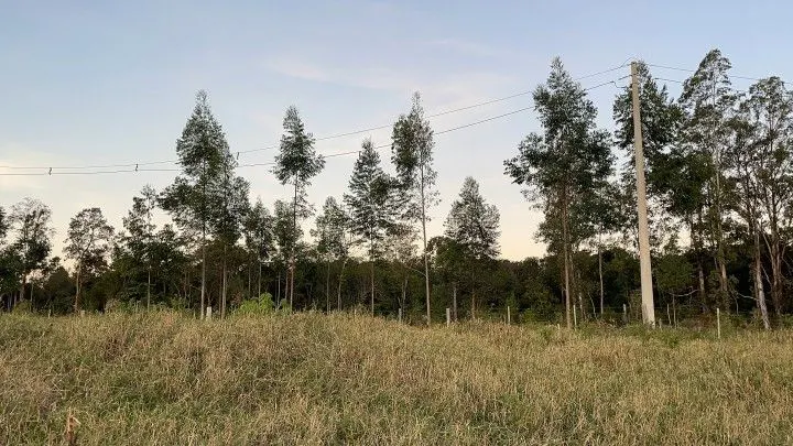 Country home for sale of 2,400 m² in Rolante, RS, Brazil