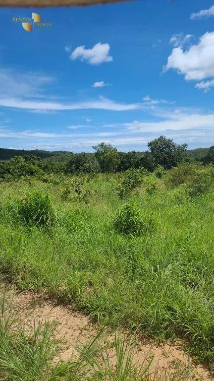 Fazenda à venda de 965 ha em Nossa Senhora do Livramento, MT, Brasil