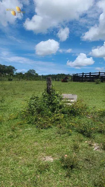 Fazenda à venda de 965 ha em Nossa Senhora do Livramento, MT, Brasil