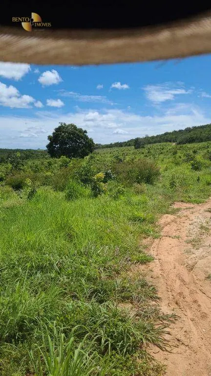 Fazenda à venda de 965 ha em Nossa Senhora do Livramento, MT, Brasil
