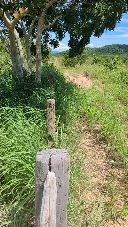 Fazenda à venda de 965 ha em Nossa Senhora do Livramento, MT, Brasil