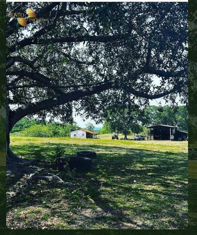 Fazenda à venda de 965 ha em Nossa Senhora do Livramento, MT, Brasil