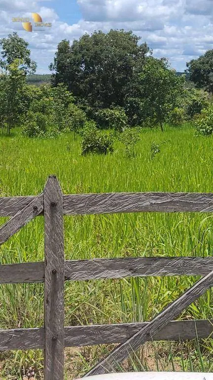 Fazenda à venda de 965 ha em Nossa Senhora do Livramento, MT, Brasil