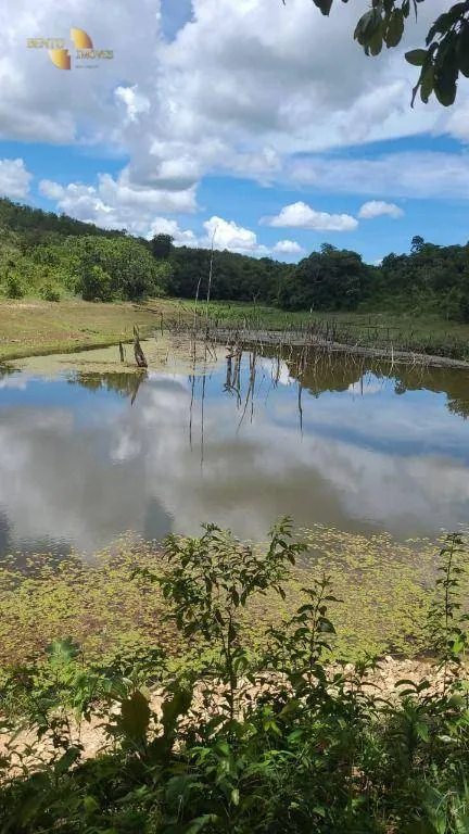 Fazenda à venda de 965 ha em Nossa Senhora do Livramento, MT, Brasil