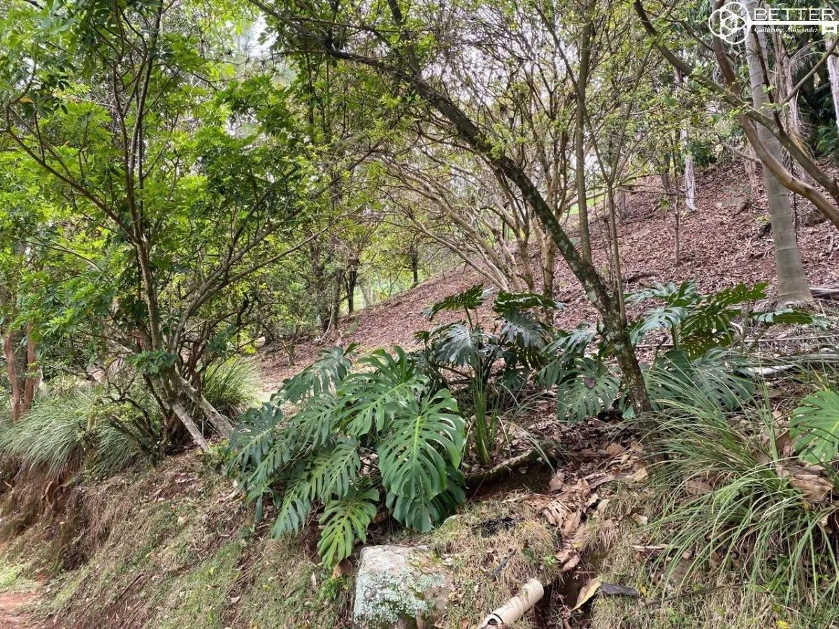 Sítio à venda de 12 ha em Mairinque, SP, Brasil