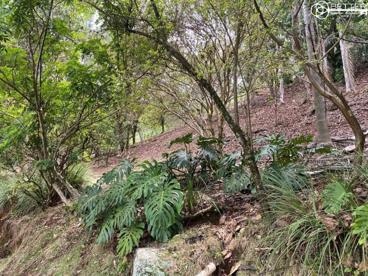 Sítio à venda de 12 ha em Mairinque, SP, Brasil