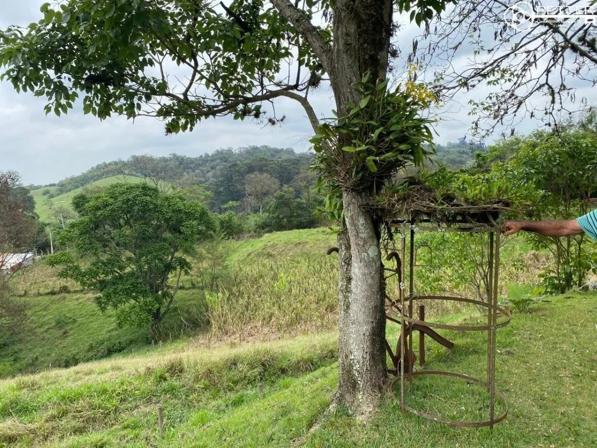Sítio à venda de 12 ha em Mairinque, SP, Brasil