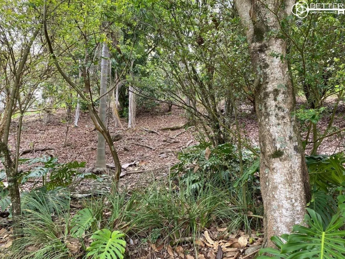Sítio à venda de 12 ha em Mairinque, SP, Brasil