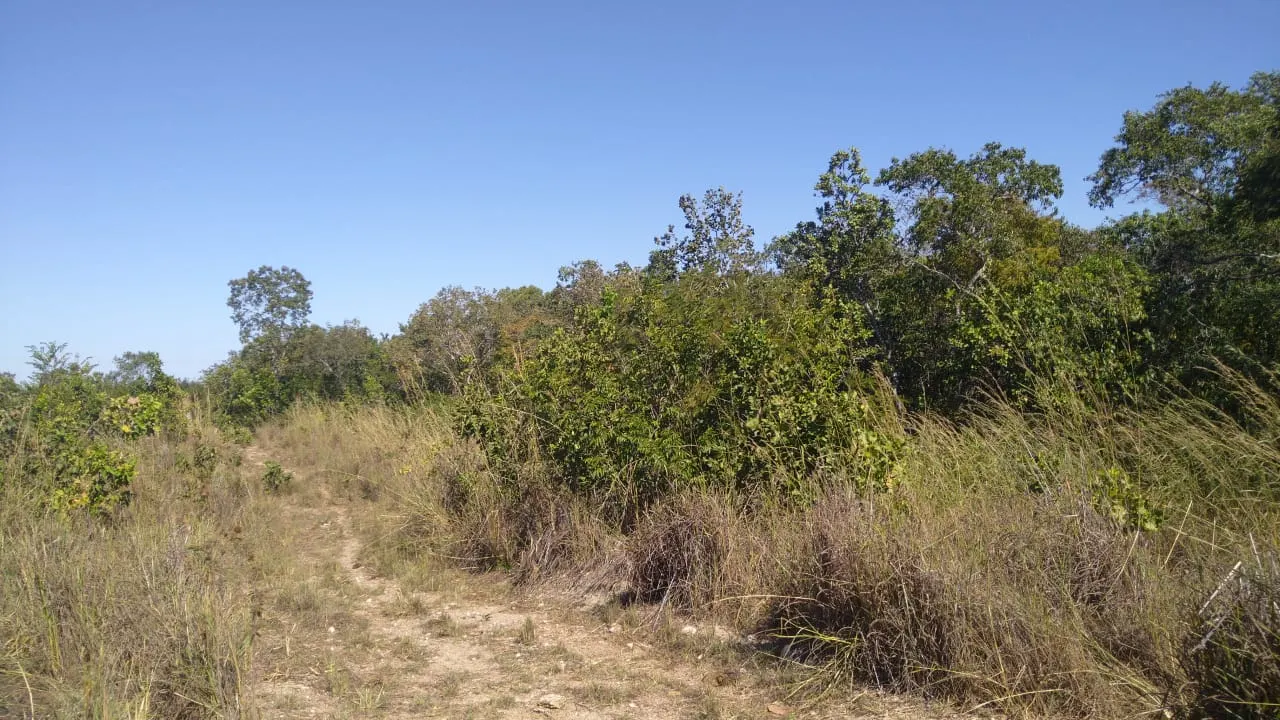 Fazenda à venda de 84 ha em Cuiabá, MT, Brasil