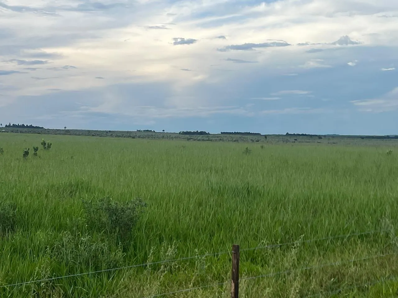 Fazenda à venda de 5.591 ha em Paraíso das Águas, MS, Brasil