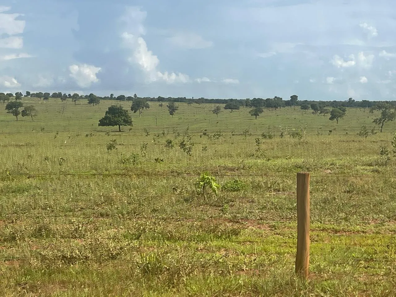 Fazenda à venda de 5.591 ha em Paraíso das Águas, MS, Brasil