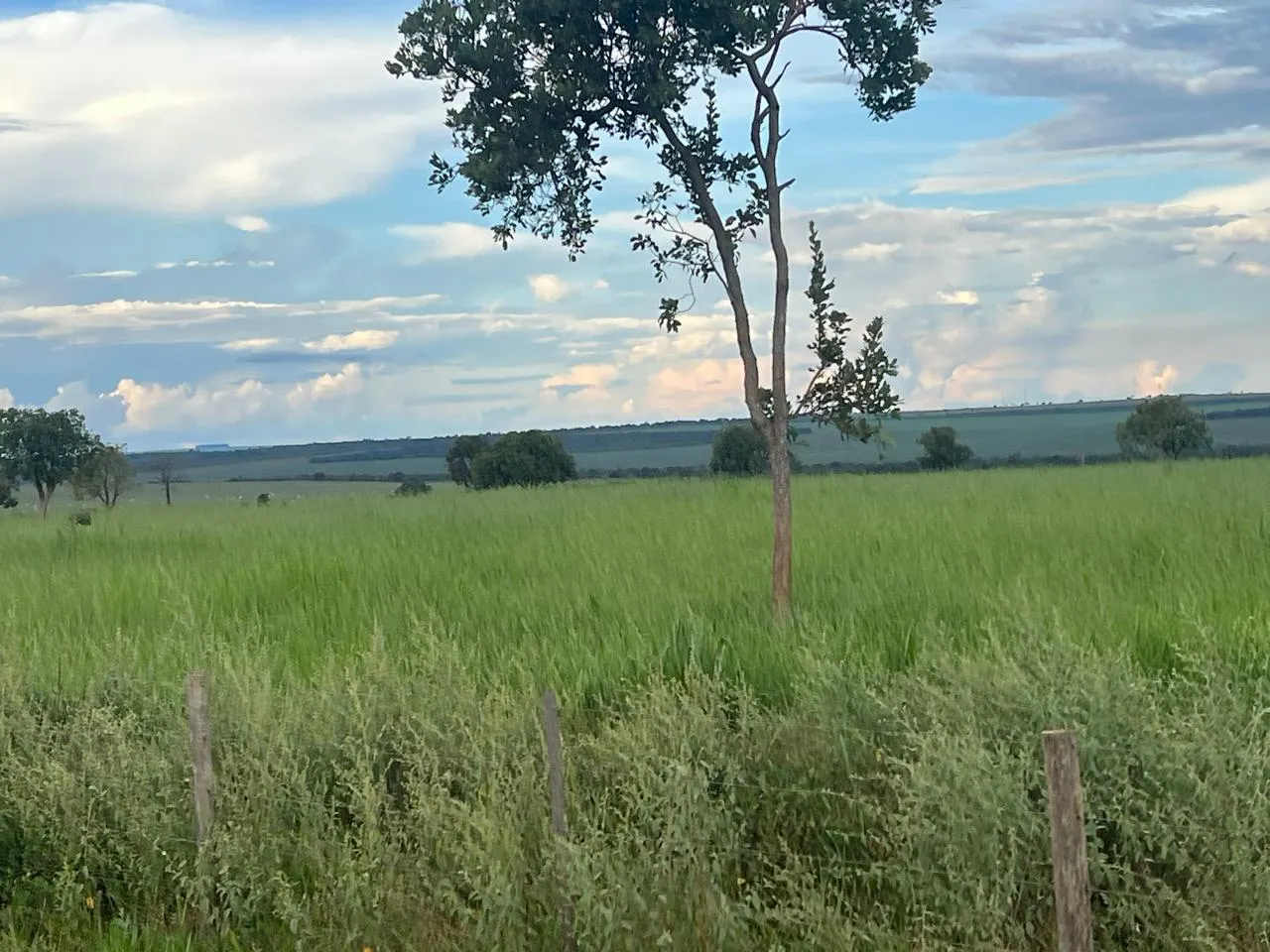 Fazenda à venda de 5.591 ha em Paraíso das Águas, MS, Brasil